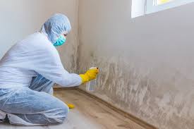 Mold Remediation for Vacation Homes in Minerva Park, OH